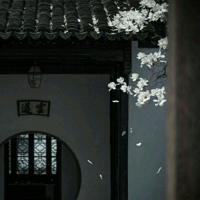 彩博888平台豪华版